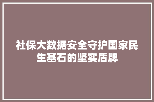 社保大数据安全守护国家民生基石的坚实盾牌