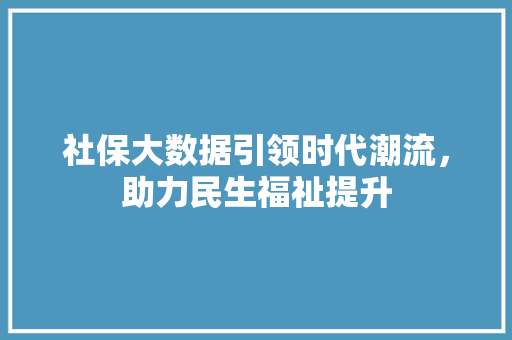 社保大数据引领时代潮流，助力民生福祉提升