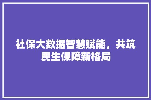 社保大数据智慧赋能，共筑民生保障新格局