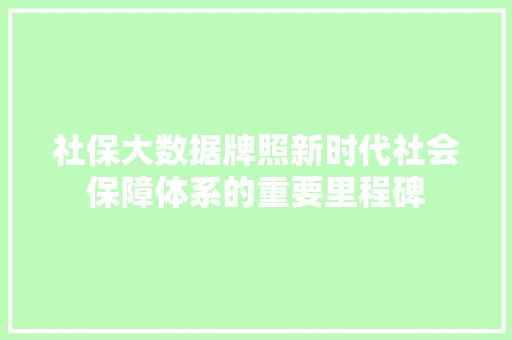 社保大数据牌照新时代社会保障体系的重要里程碑