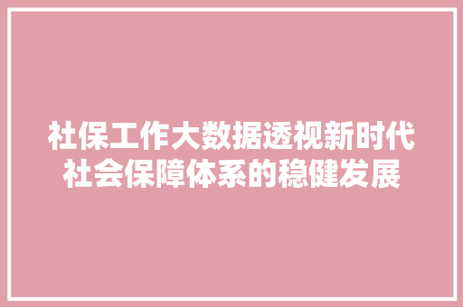 社保工作大数据透视新时代社会保障体系的稳健发展
