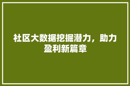 社区大数据挖掘潜力，助力盈利新篇章