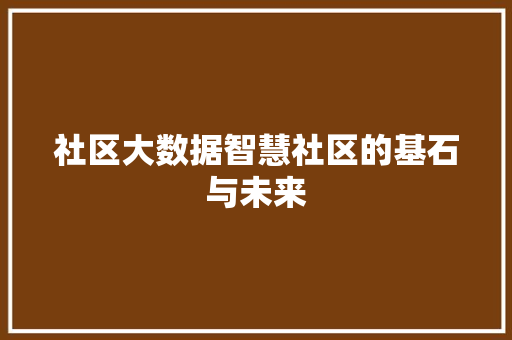 社区大数据智慧社区的基石与未来