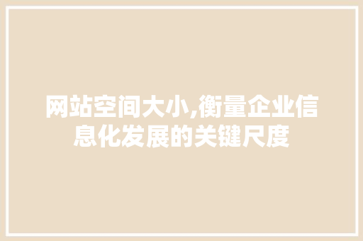 网站空间大小,衡量企业信息化发展的关键尺度