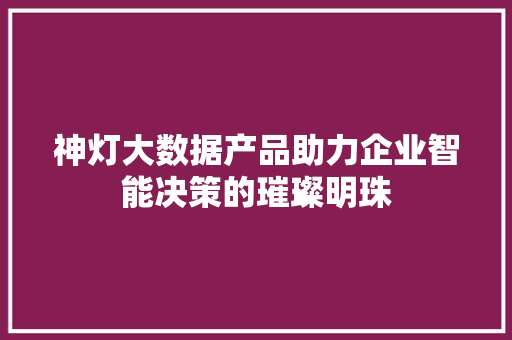 神灯大数据产品助力企业智能决策的璀璨明珠