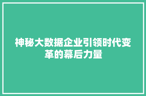 神秘大数据企业引领时代变革的幕后力量