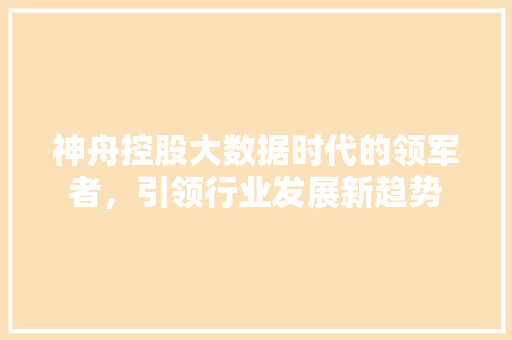 神舟控股大数据时代的领军者，引领行业发展新趋势