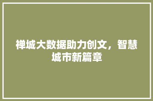 禅城大数据助力创文，智慧城市新篇章