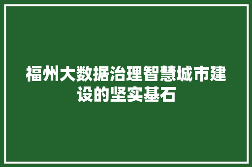 福州大数据治理智慧城市建设的坚实基石