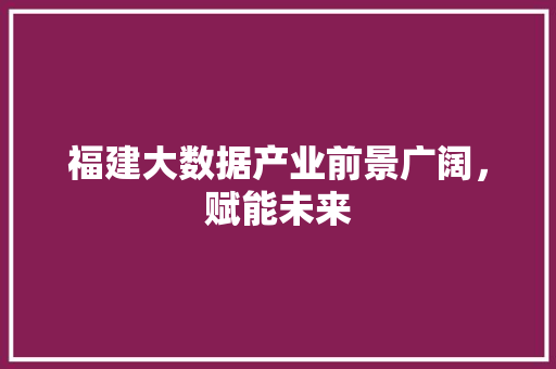 福建大数据产业前景广阔，赋能未来