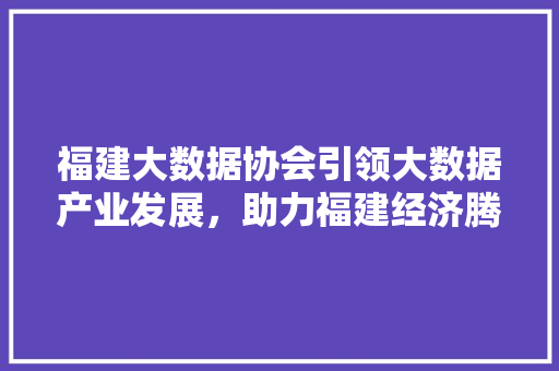 福建大数据协会引领大数据产业发展，助力福建经济腾飞