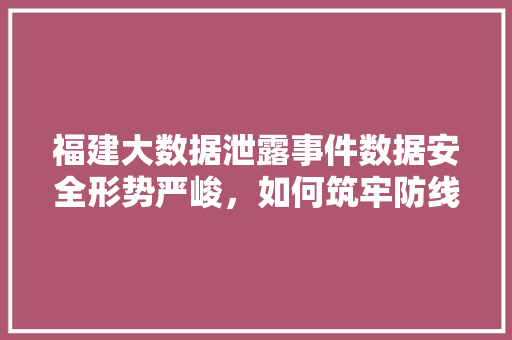 福建大数据泄露事件数据安全形势严峻，如何筑牢防线