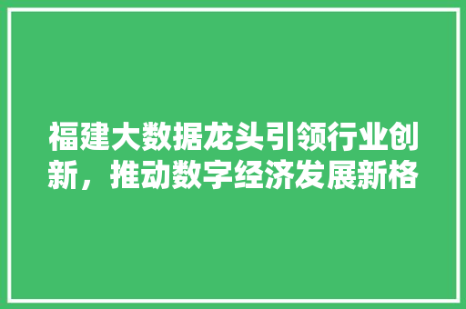 福建大数据龙头引领行业创新，推动数字经济发展新格局