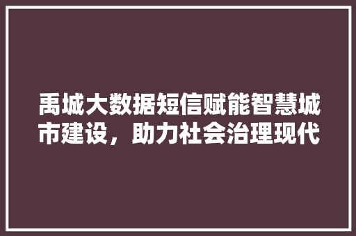 禹城大数据短信赋能智慧城市建设，助力社会治理现代化
