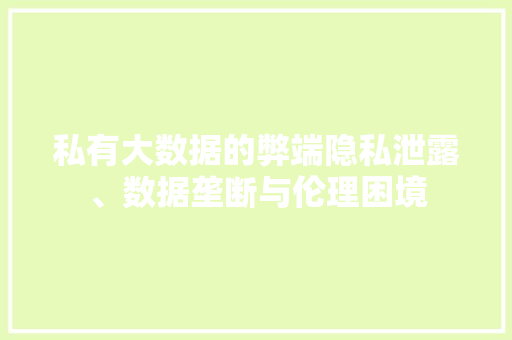 私有大数据的弊端隐私泄露、数据垄断与伦理困境