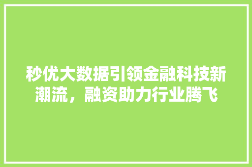 秒优大数据引领金融科技新潮流，融资助力行业腾飞