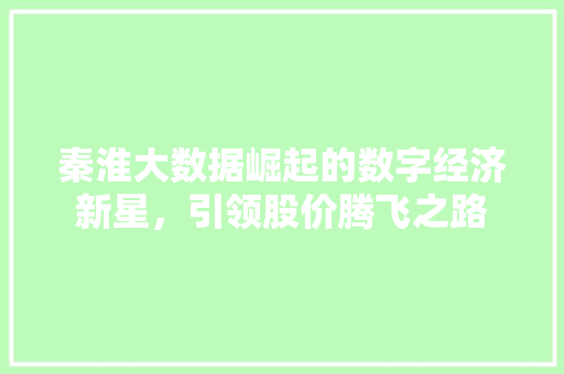 秦淮大数据崛起的数字经济新星，引领股价腾飞之路