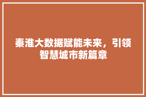 秦淮大数据赋能未来，引领智慧城市新篇章