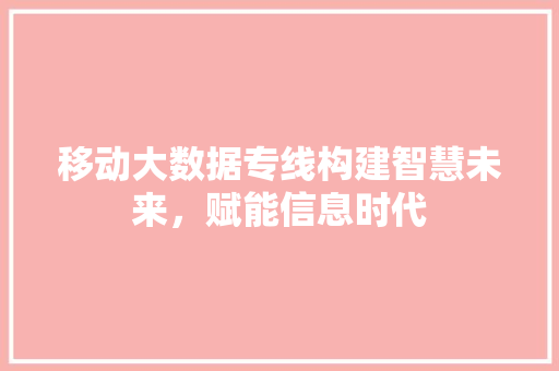 移动大数据专线构建智慧未来，赋能信息时代