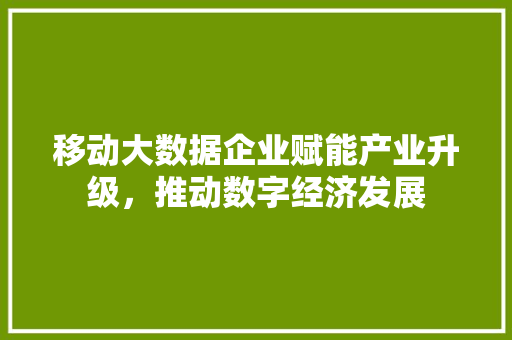 移动大数据企业赋能产业升级，推动数字经济发展