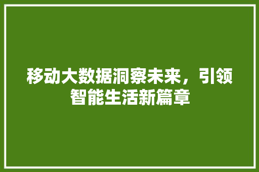 移动大数据洞察未来，引领智能生活新篇章