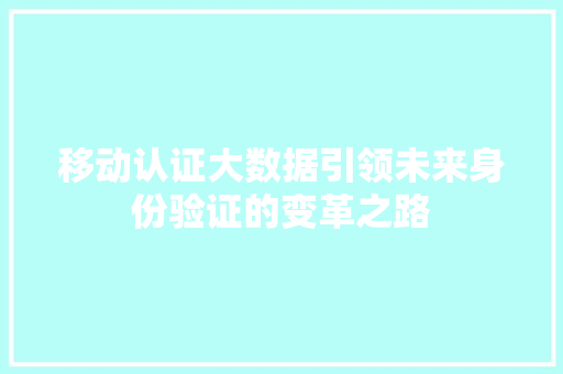 移动认证大数据引领未来身份验证的变革之路