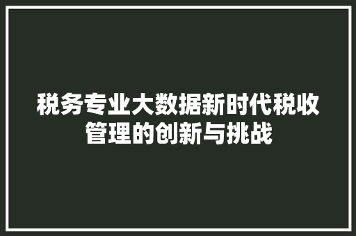 税务专业大数据新时代税收管理的创新与挑战
