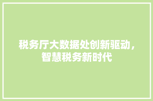 税务厅大数据处创新驱动，智慧税务新时代