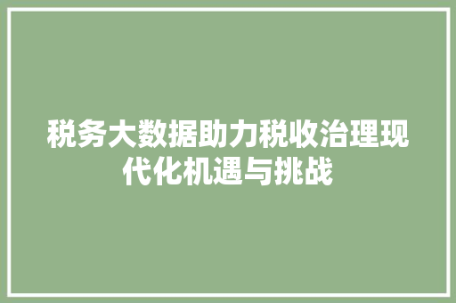 税务大数据助力税收治理现代化机遇与挑战