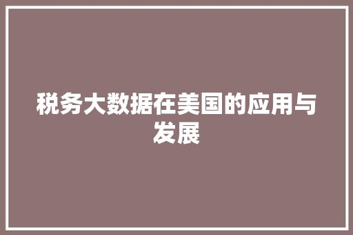 税务大数据在美国的应用与发展
