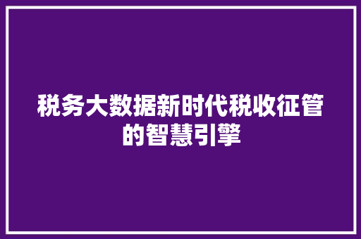 税务大数据新时代税收征管的智慧引擎