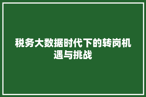 税务大数据时代下的转岗机遇与挑战