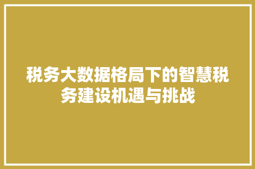 税务大数据格局下的智慧税务建设机遇与挑战
