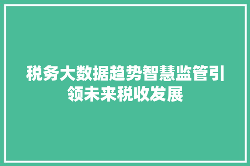 税务大数据趋势智慧监管引领未来税收发展
