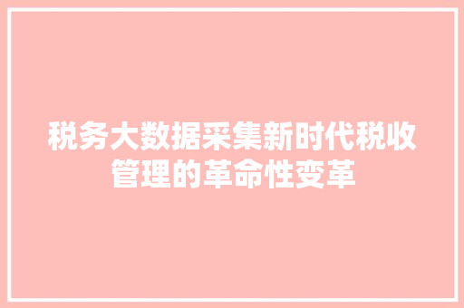 税务大数据采集新时代税收管理的革命性变革