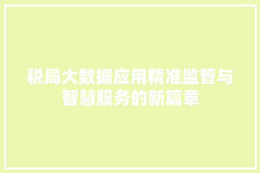 税局大数据应用精准监管与智慧服务的新篇章