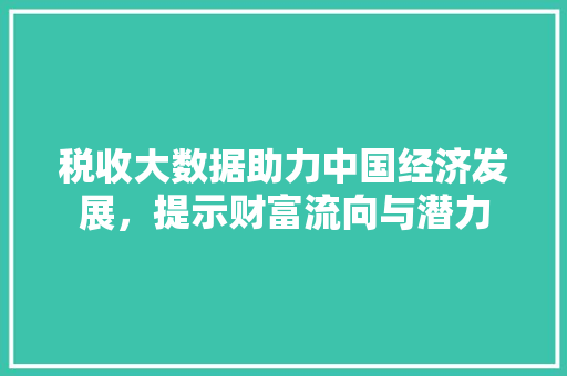税收大数据助力中国经济发展，提示财富流向与潜力