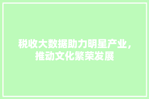 税收大数据助力明星产业，推动文化繁荣发展