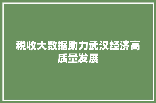税收大数据助力武汉经济高质量发展