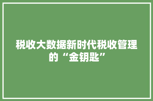 税收大数据新时代税收管理的“金钥匙”
