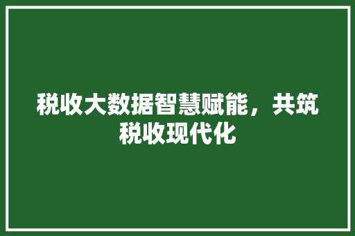 税收大数据智慧赋能，共筑税收现代化