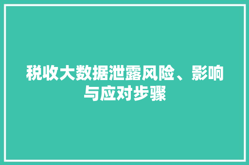 税收大数据泄露风险、影响与应对步骤