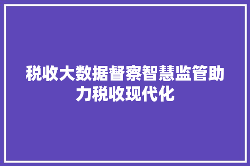 税收大数据督察智慧监管助力税收现代化