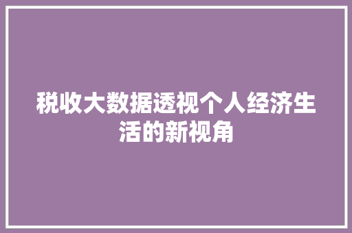 税收大数据透视个人经济生活的新视角