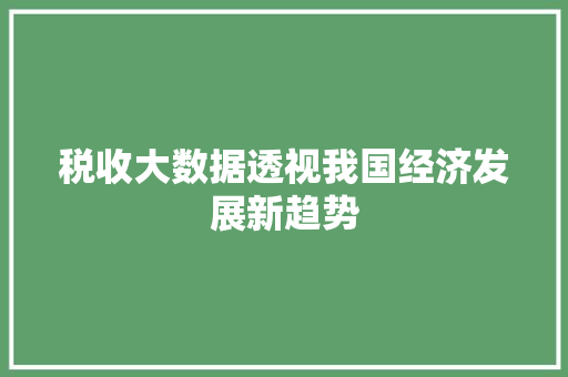 税收大数据透视我国经济发展新趋势