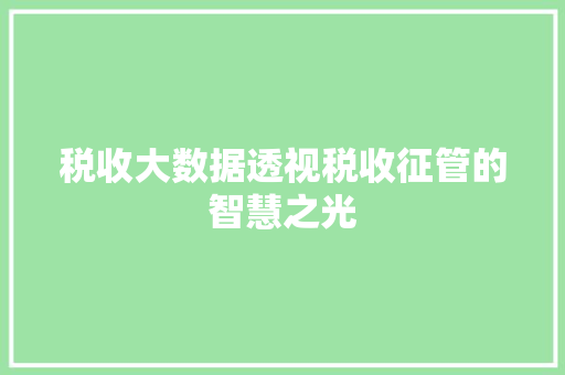 税收大数据透视税收征管的智慧之光