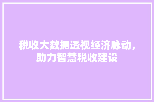 税收大数据透视经济脉动，助力智慧税收建设