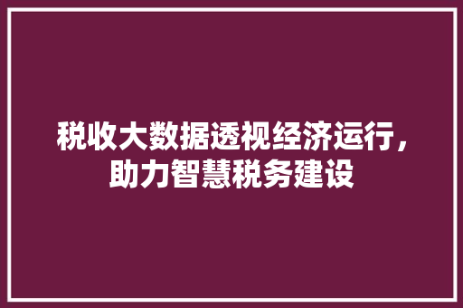 税收大数据透视经济运行，助力智慧税务建设
