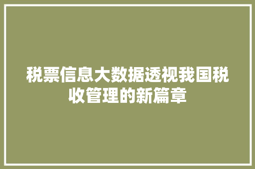 税票信息大数据透视我国税收管理的新篇章