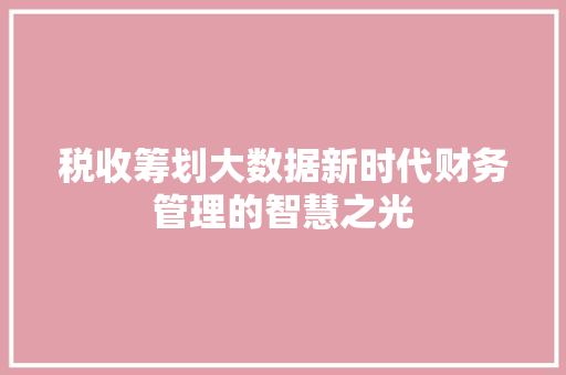 税收筹划大数据新时代财务管理的智慧之光